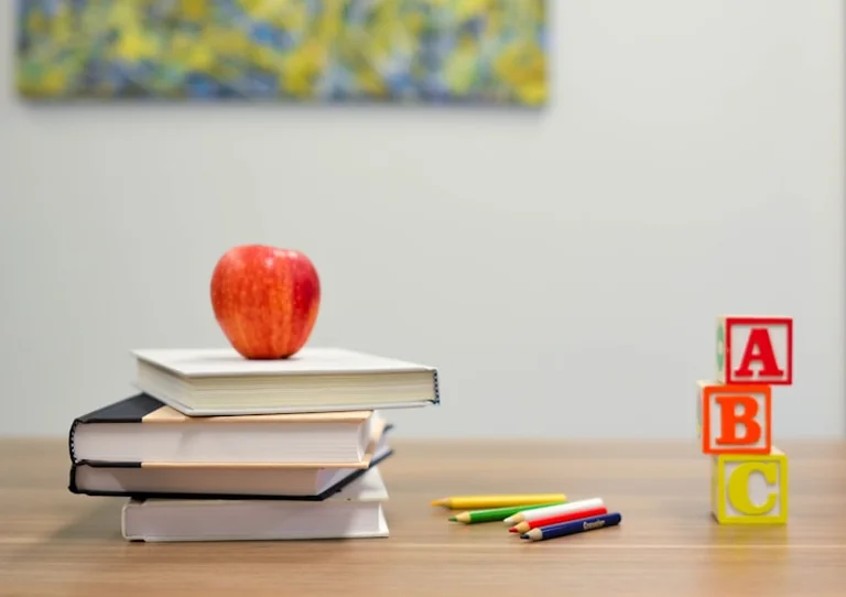Schulstart am 17. August: Wochenend-Check für Familien