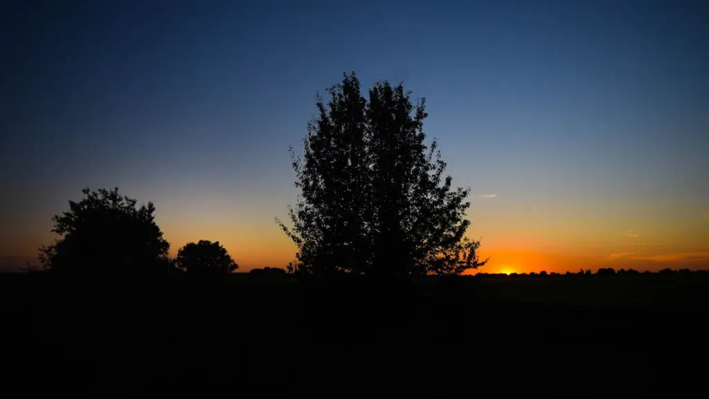 Die untergehende Sonne hinter einer Silhouette von Bäumen in einer friedlichen Landschaft.