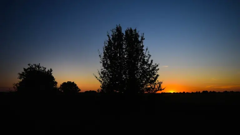 Die untergehende Sonne hinter einer Silhouette von Bäumen in einer friedlichen Landschaft.