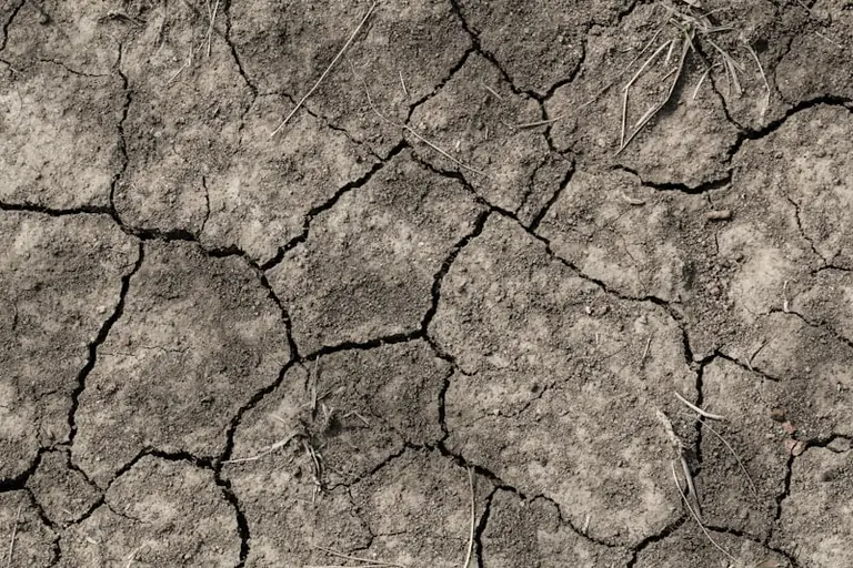 Sommer 2026 vorläufig zweitwärmster: 22 Hitzetage