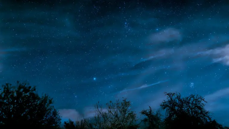 Sternenhimmel mit den Plejaden über einer dunklen Baumgruppe in einer deutschen Landschaft.