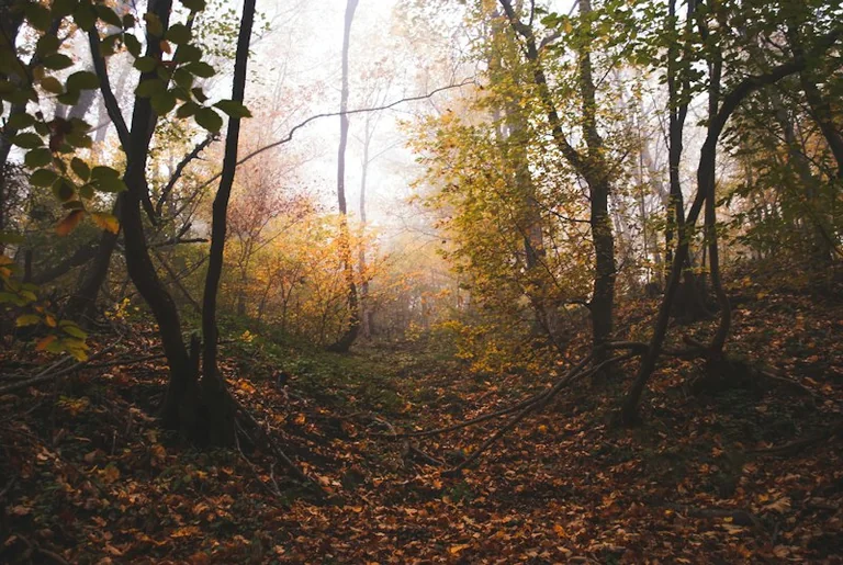 Tageshoroskop am 3. Oktober: Raum für Ruhe und Gespräche